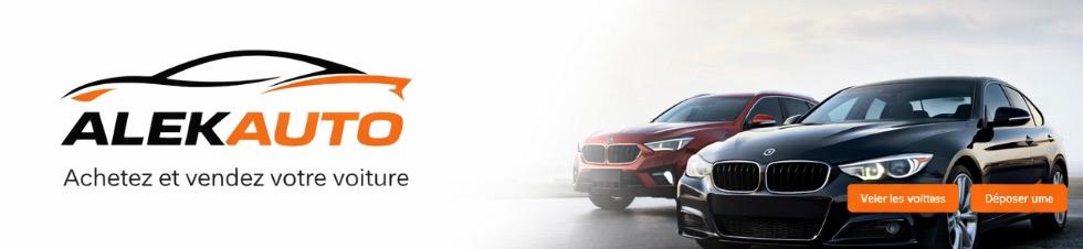 WhatsApp Image 2026 04 11 At 17.03.14 1